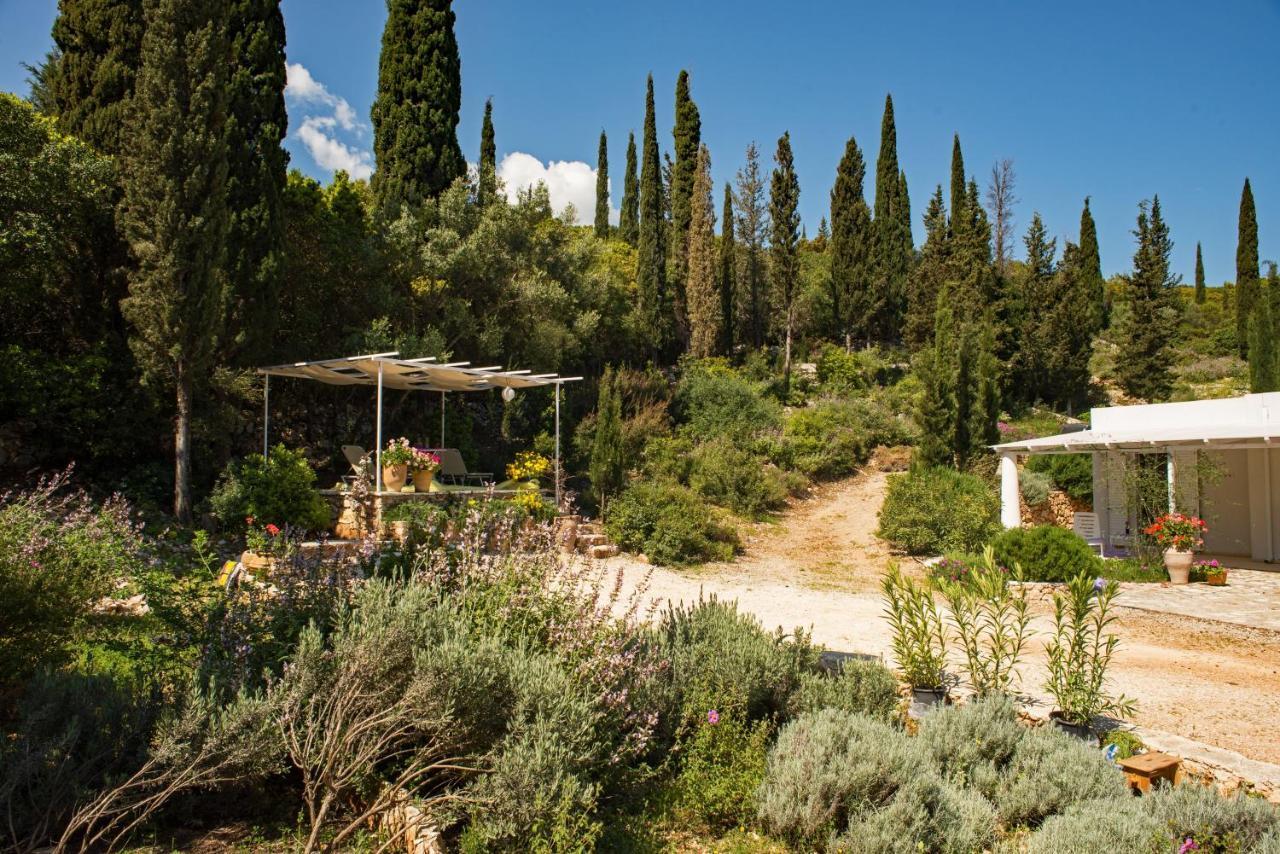 Villa Buras Skinária Extérieur photo